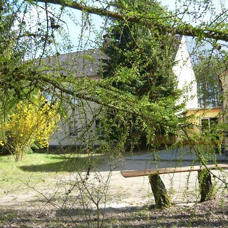 Ferienwohnung Südseite Nossentiner Huette Exterior foto