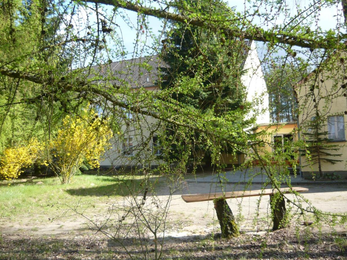 Ferienwohnung Südseite Nossentiner Huette Exterior foto